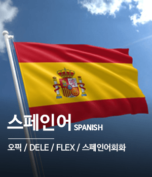 스페인어 - 오픽 / DELE / FLEX / 스페인어회화